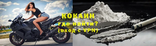 ПСИЛОЦИБИНОВЫЕ ГРИБЫ Кодинск