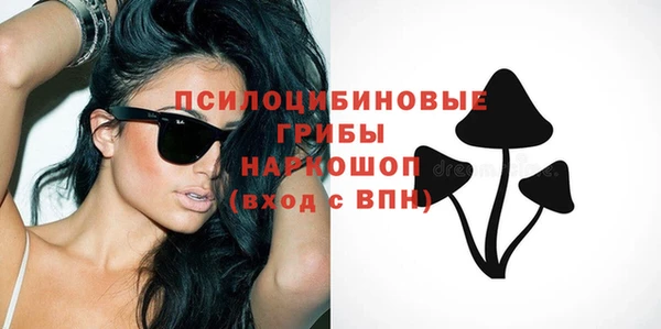 ПСИЛОЦИБИНОВЫЕ ГРИБЫ Кодинск