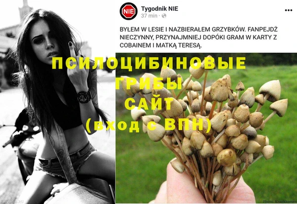 альфа пвп Козловка