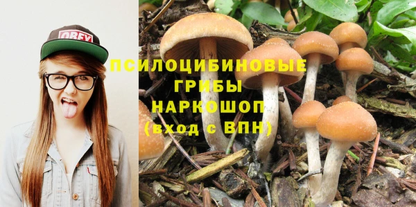 МДМА Козельск