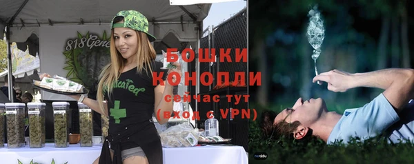 ПСИЛОЦИБИНОВЫЕ ГРИБЫ Кодинск