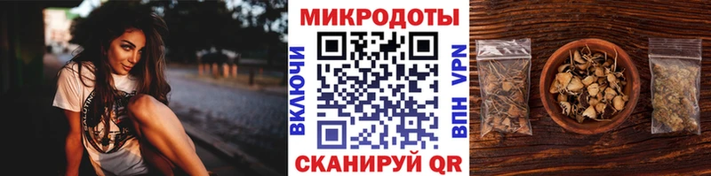 Псилоцибиновые грибы Psilocybine cubensis  Купить где  Избербаш 